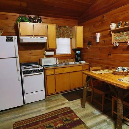 Alpine Mountain Sweetheart Cabin Jacuzzi #6 Хелен Экстерьер фото