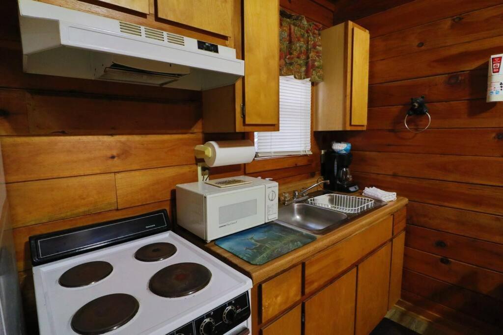 Alpine Mountain Sweetheart Cabin Jacuzzi #6 Хелен Экстерьер фото