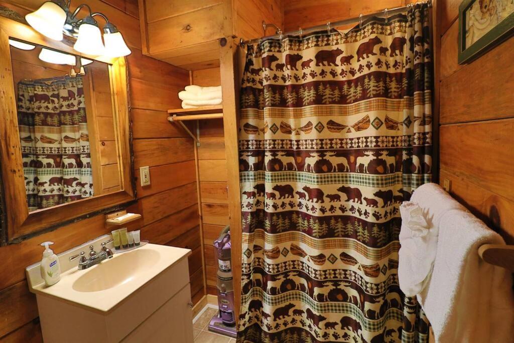 Alpine Mountain Sweetheart Cabin Jacuzzi #6 Хелен Экстерьер фото